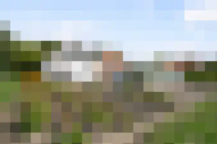 Weelweg 1 Sint-Maartensdijk thumbnail 4