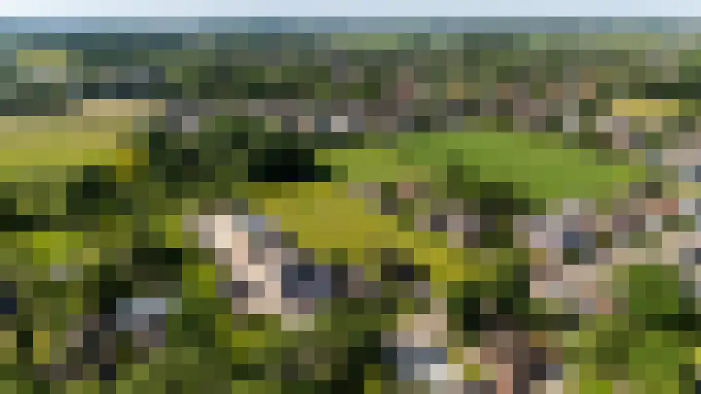Weelweg 18 A Waarland thumbnail 11