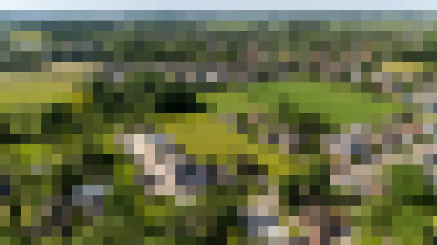 Weelweg 18 Waarland thumbnail 12
