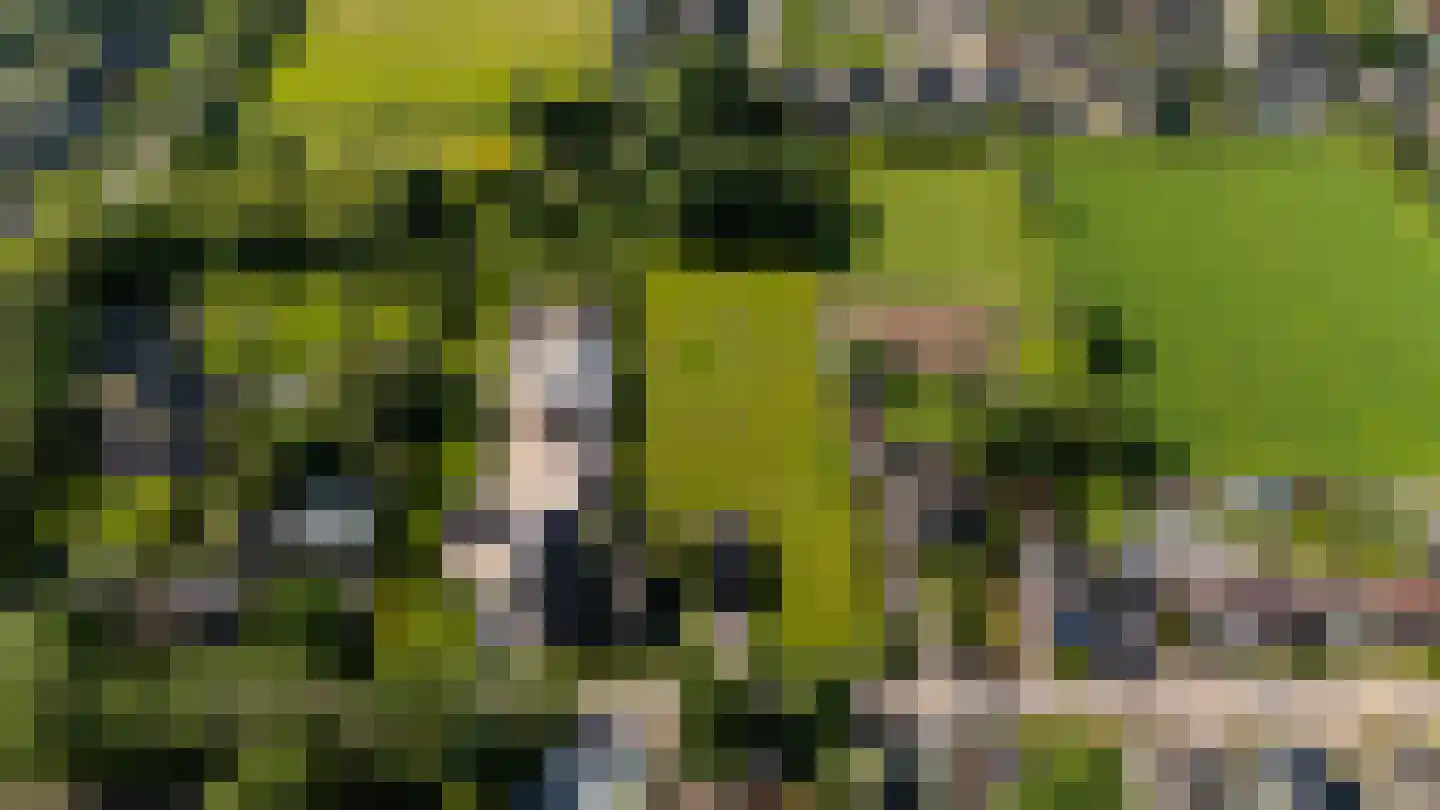 Weelweg 18 Waarland thumbnail 5