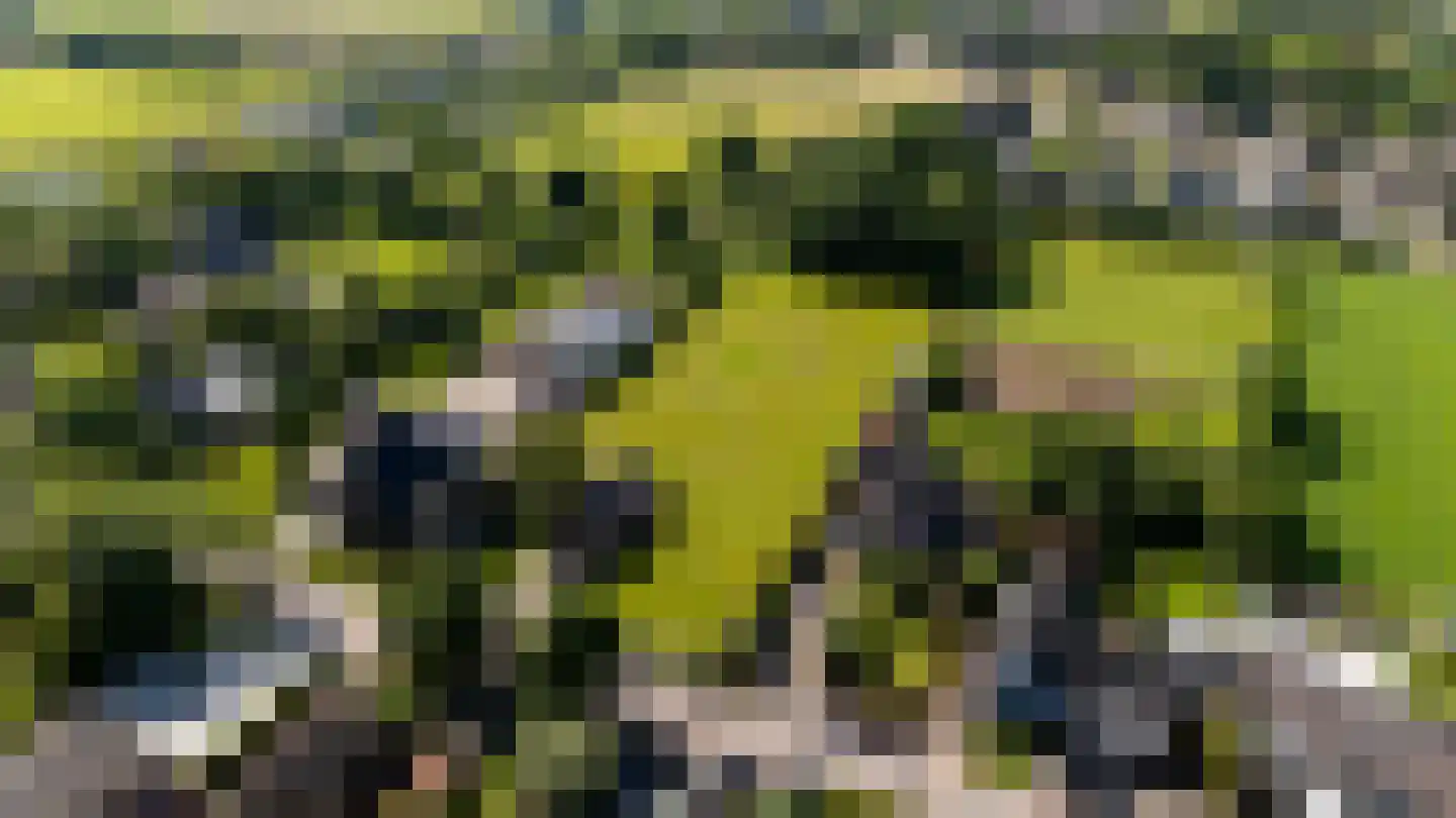 Weelweg 18 Waarland thumbnail 6