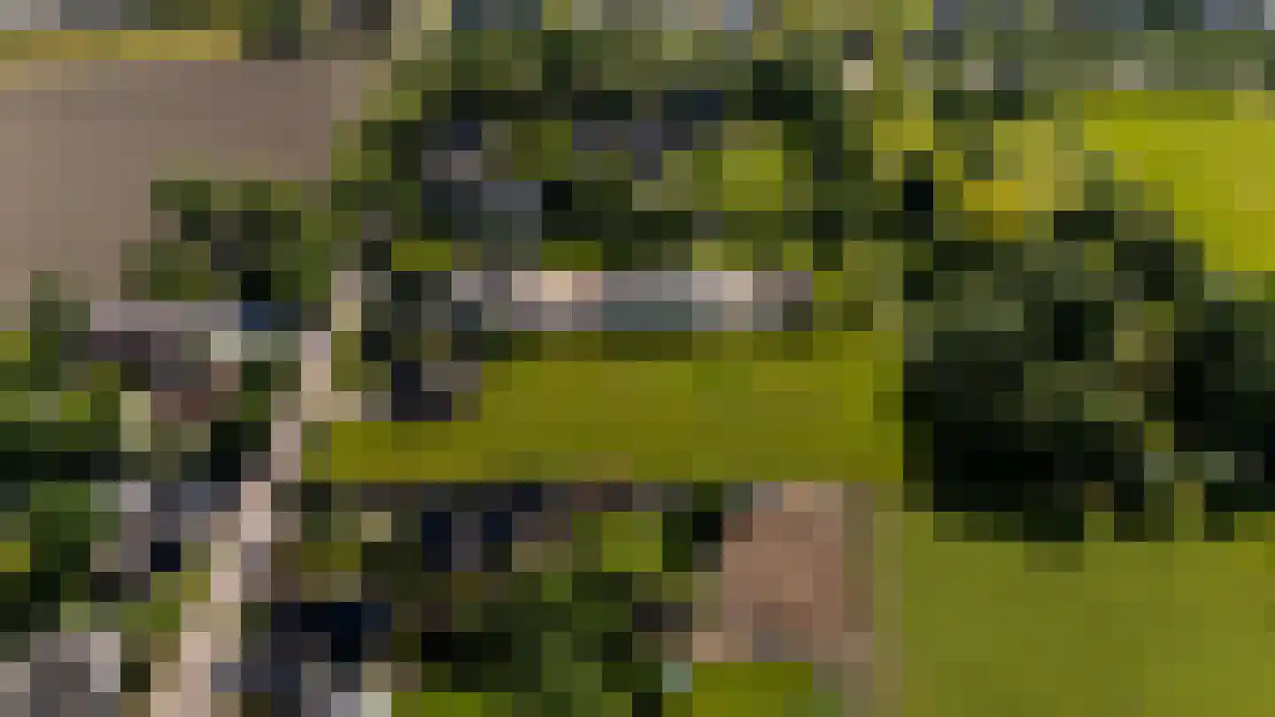 Weelweg 18 Waarland thumbnail 9