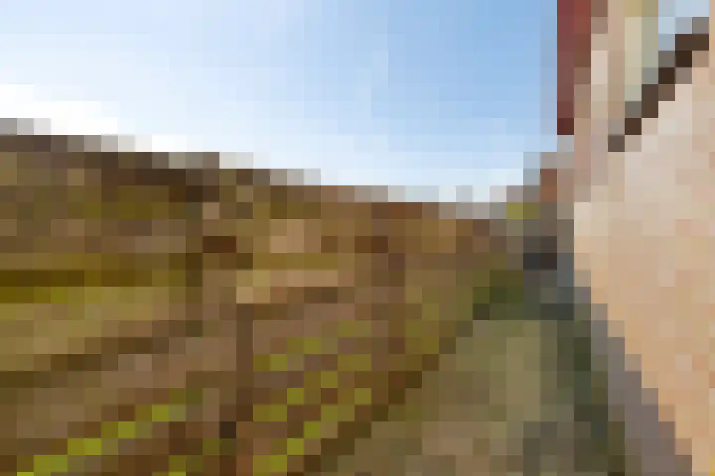 Weelweg 4 Waarland thumbnail 61