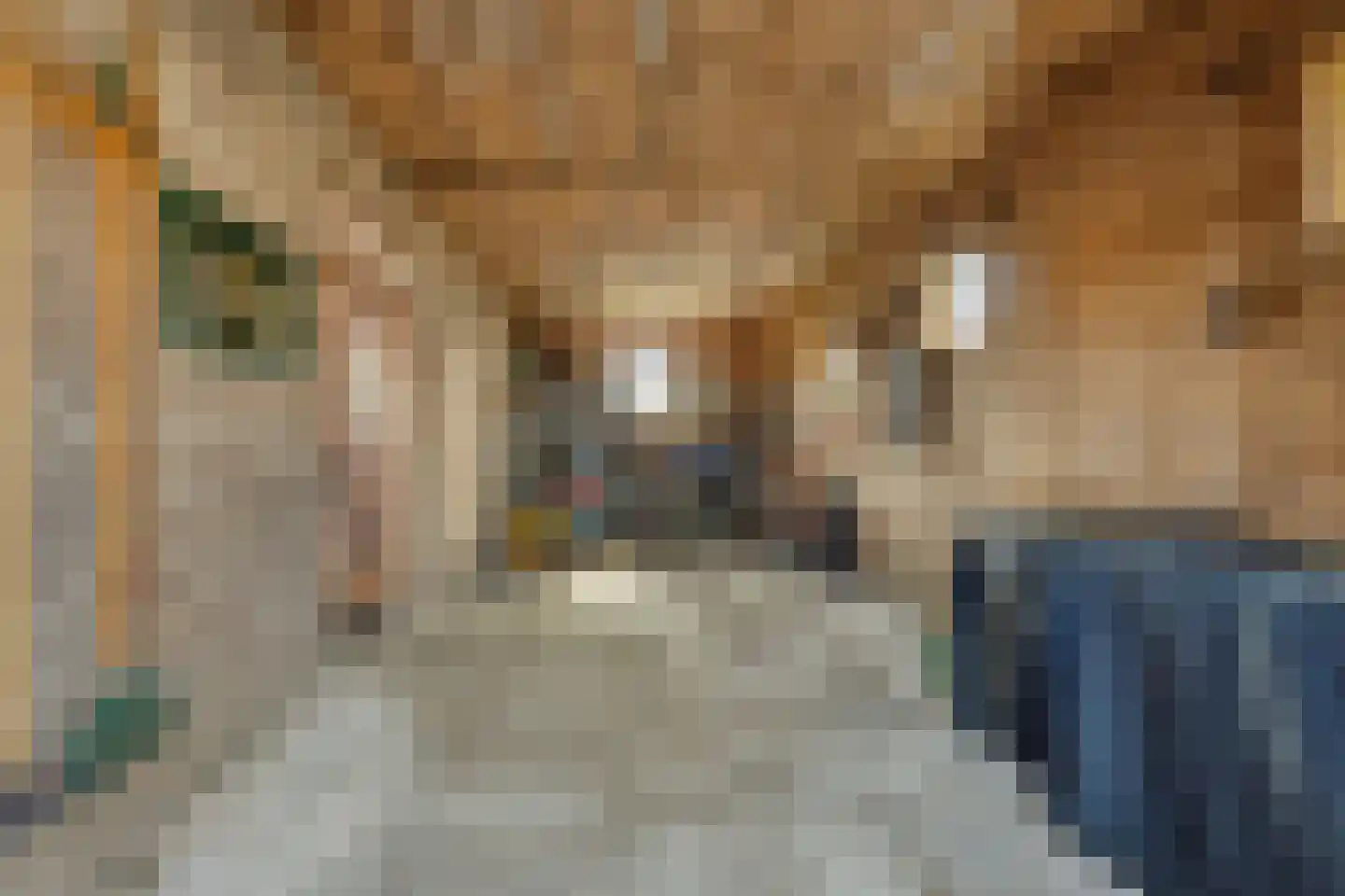 Weelweg 4 Waarland thumbnail 73