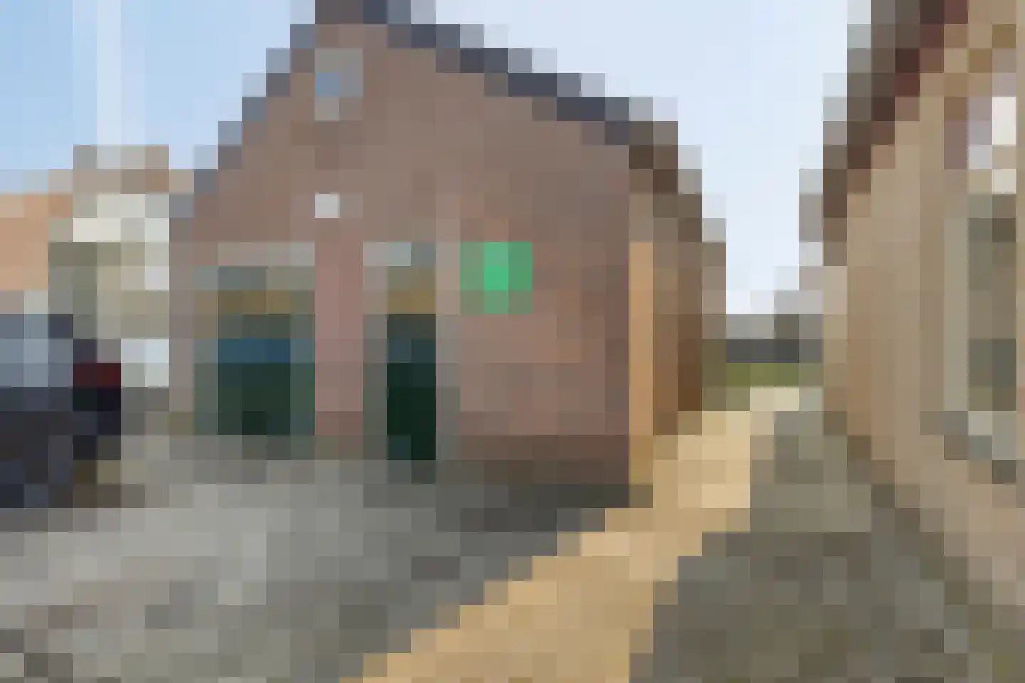 Weelweg 4 Waarland thumbnail 78