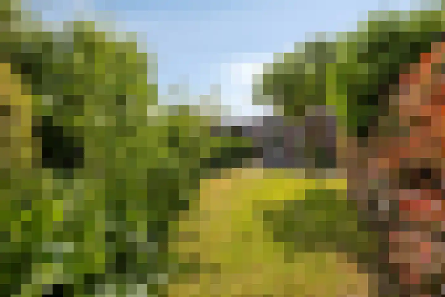 Weem 11 Valburg thumbnail 26