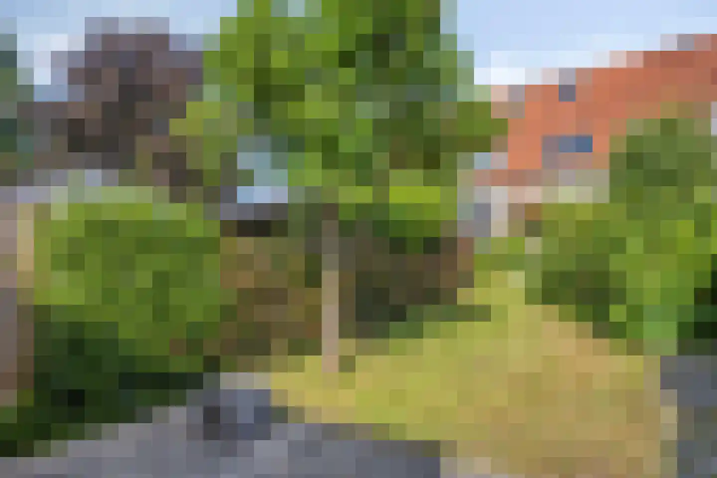 Weem 11 Valburg thumbnail 30