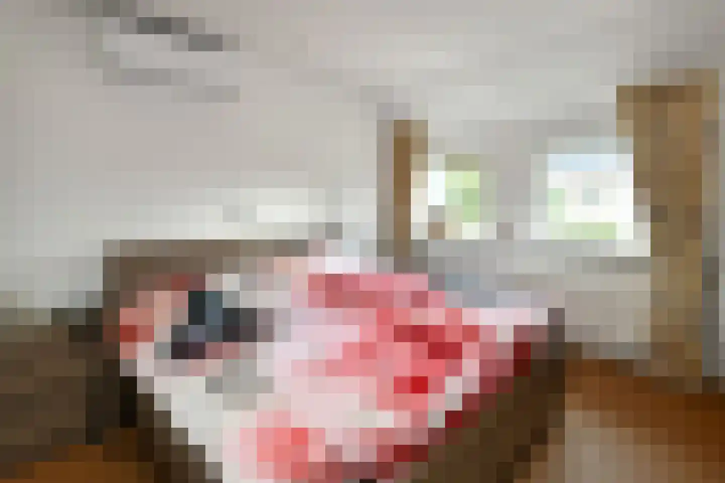 Weem 24 Valburg thumbnail 19