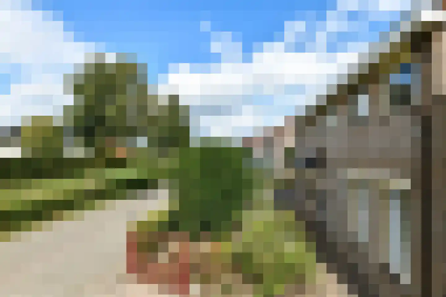 Weem 24 Valburg thumbnail 36
