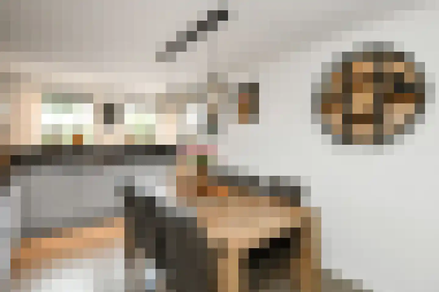 Weem 24 Valburg thumbnail 5