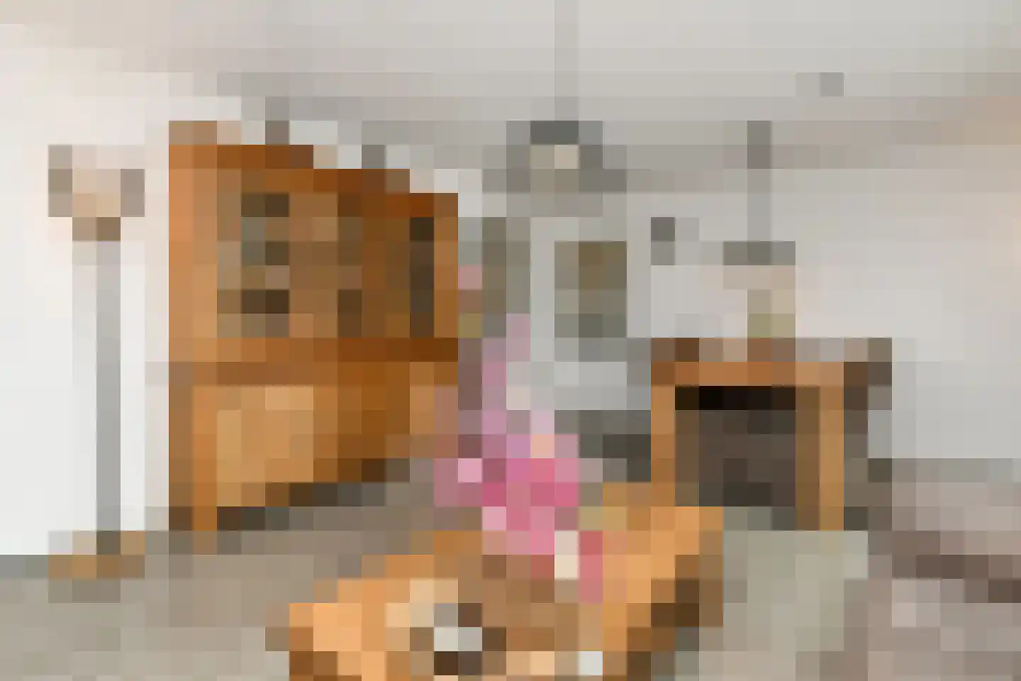 Weem 24 Valburg thumbnail 8