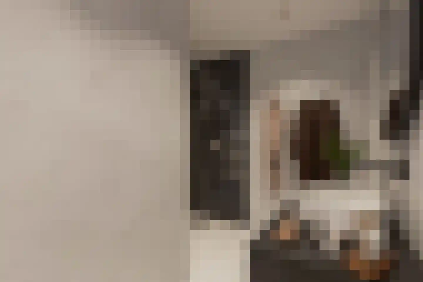 Weemestraat 1 Vriezenveen thumbnail 5