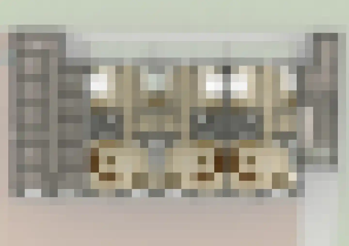 Weemestraat 1 Vriezenveen thumbnail 7