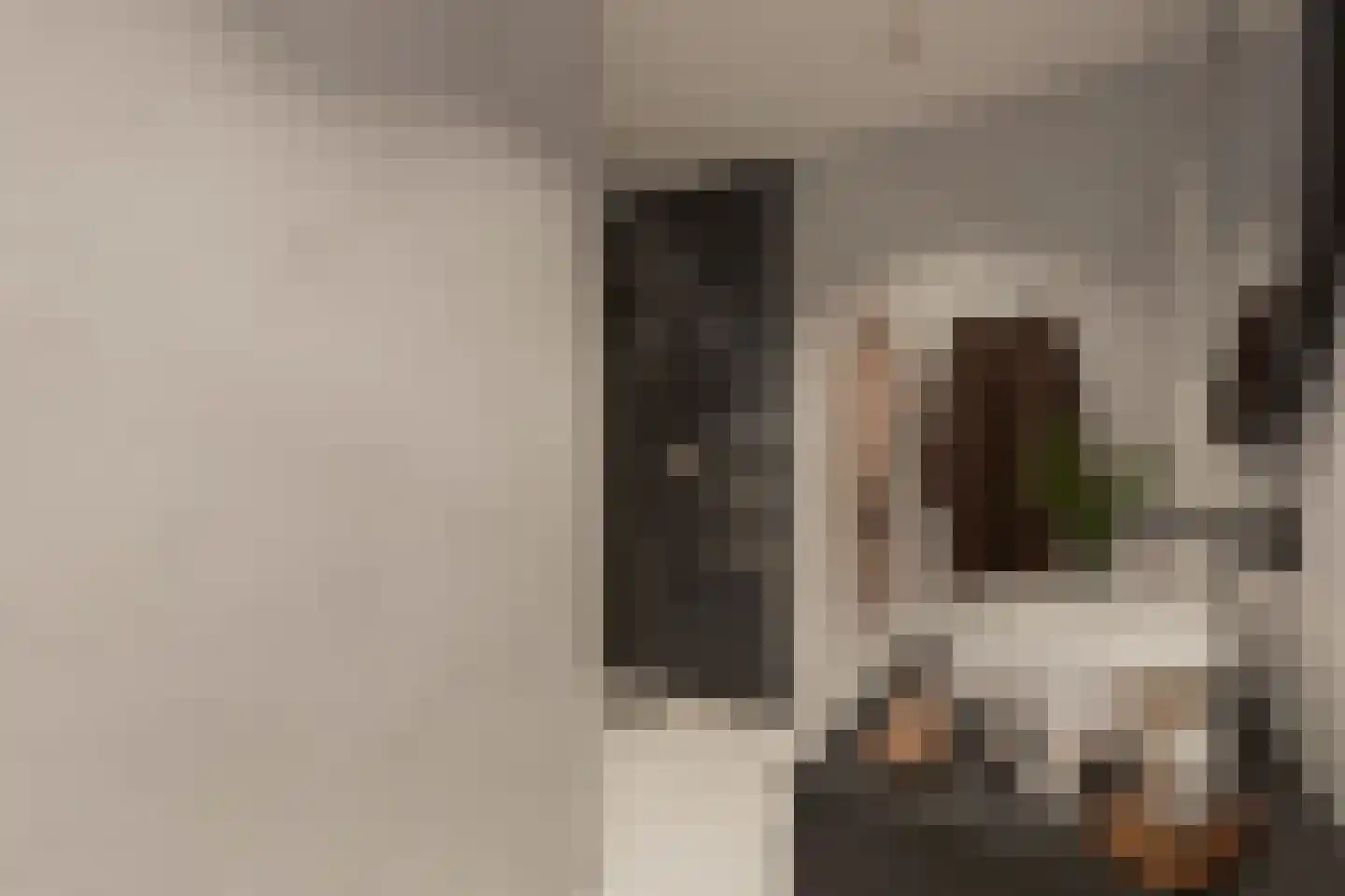 Weemestraat 10 Vriezenveen thumbnail 5