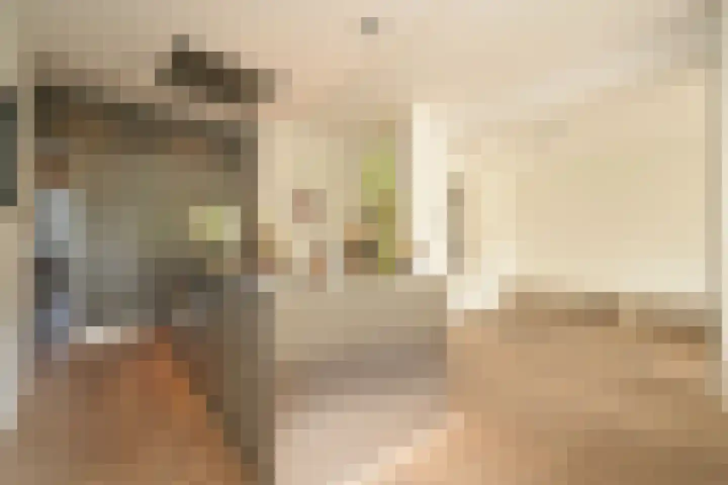 Weemestraat 6 Vriezenveen thumbnail 4