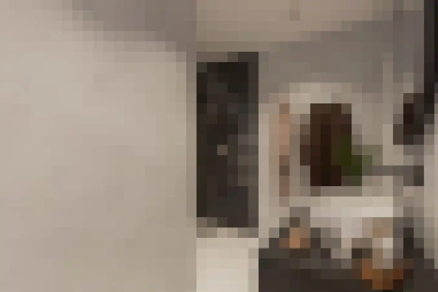 Weemestraat 6 Vriezenveen thumbnail 5