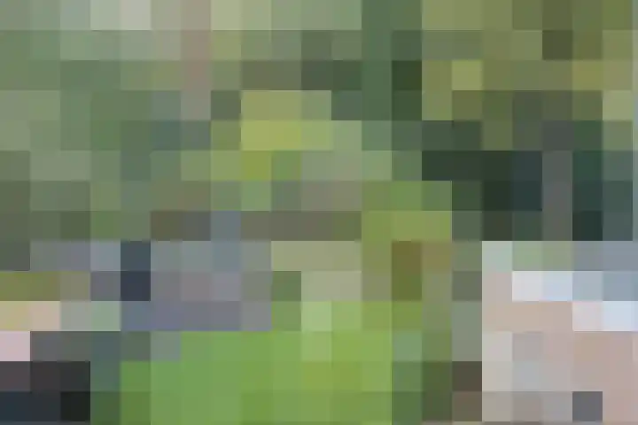 Weemeweg 15 Oosterwolde thumbnail 26