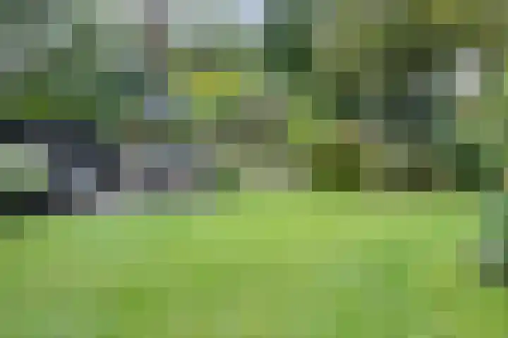 Weemeweg 15 Oosterwolde thumbnail 35
