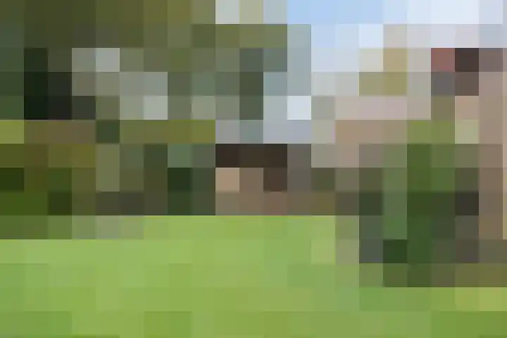 Weemeweg 15 Oosterwolde thumbnail 36