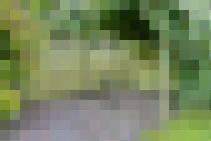 Weemeweg 15 Oosterwolde thumbnail 37