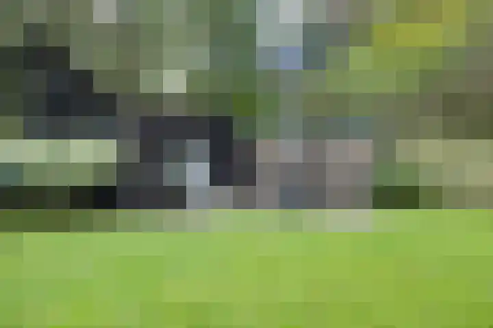Weemeweg 15 Oosterwolde thumbnail 38
