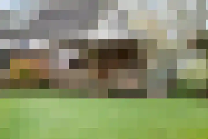 Weemeweg 15 Oosterwolde thumbnail 39