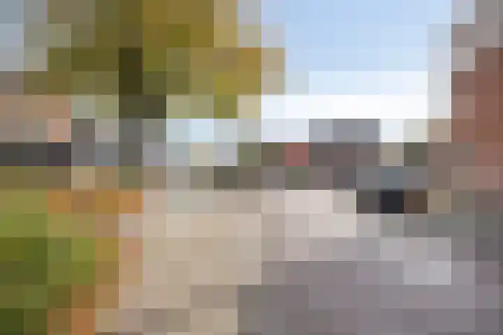 Weemeweg 15 Oosterwolde thumbnail 49