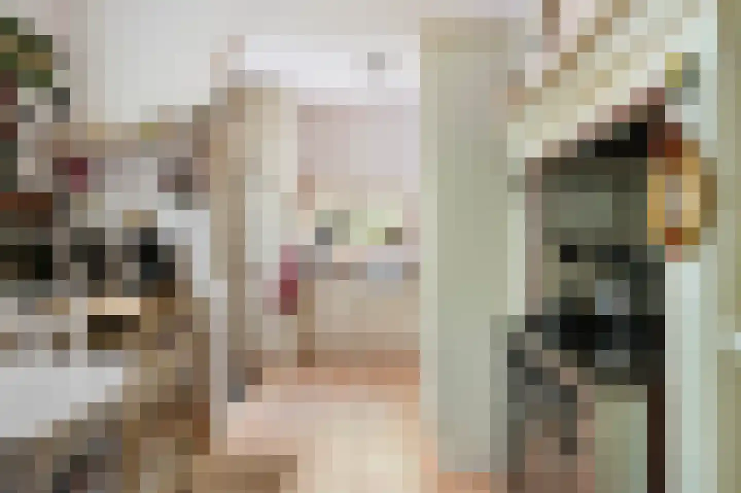 Weemeweg 3 Epe thumbnail 16