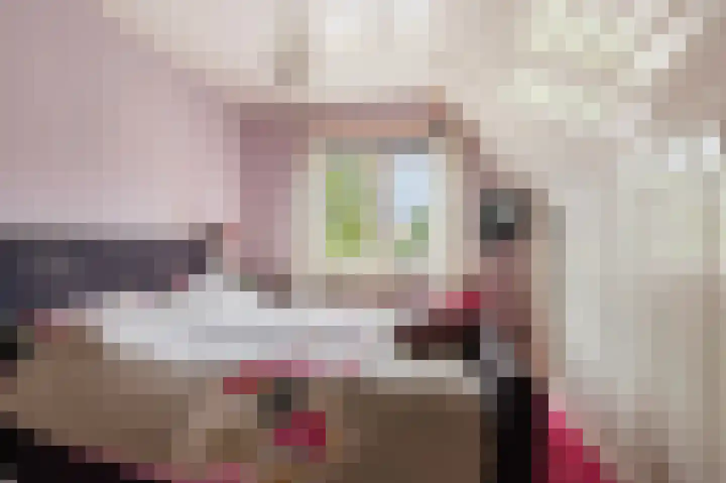 Weemeweg 3 Epe thumbnail 24