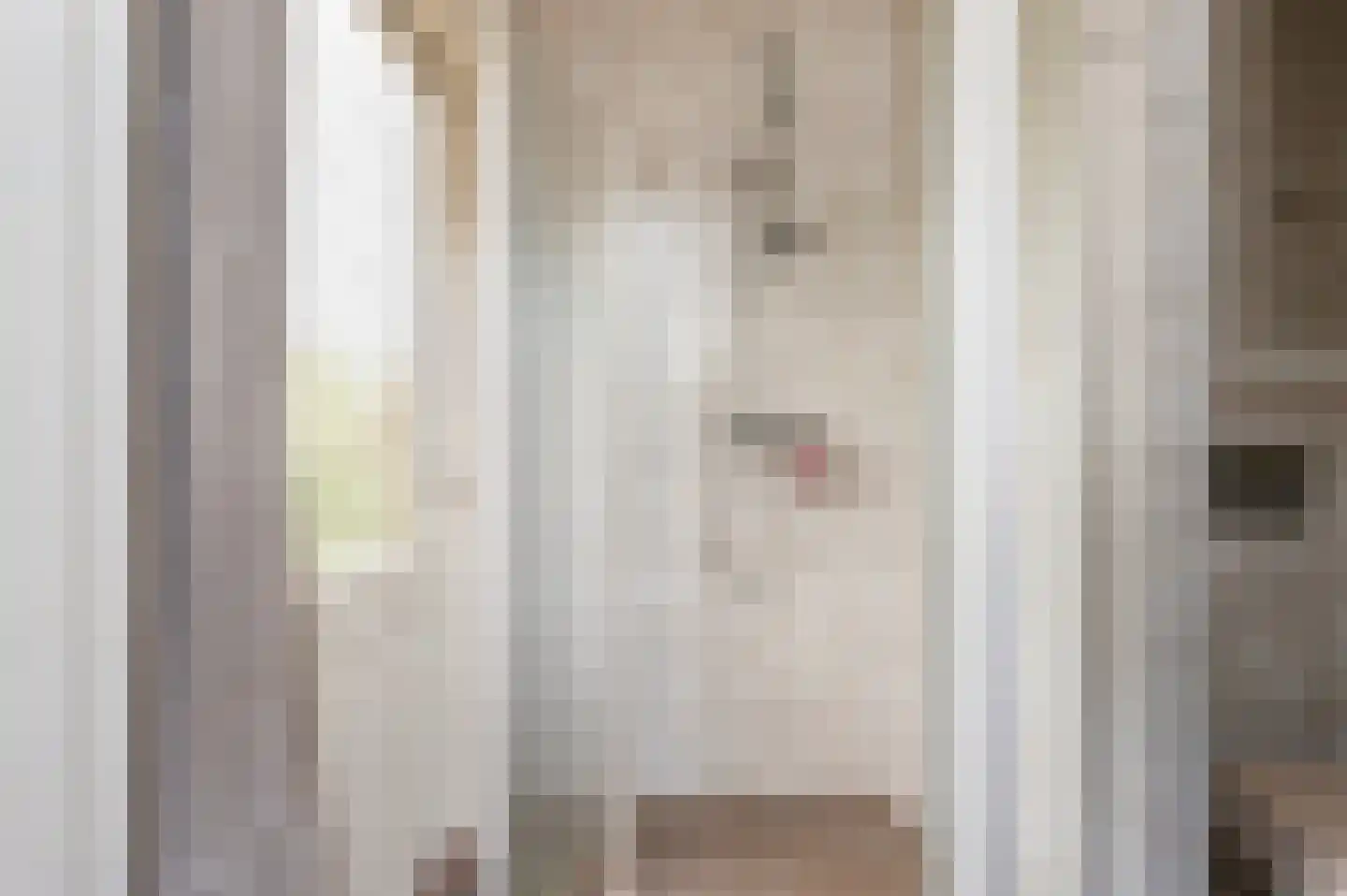 Weemeweg 3 Epe thumbnail 31