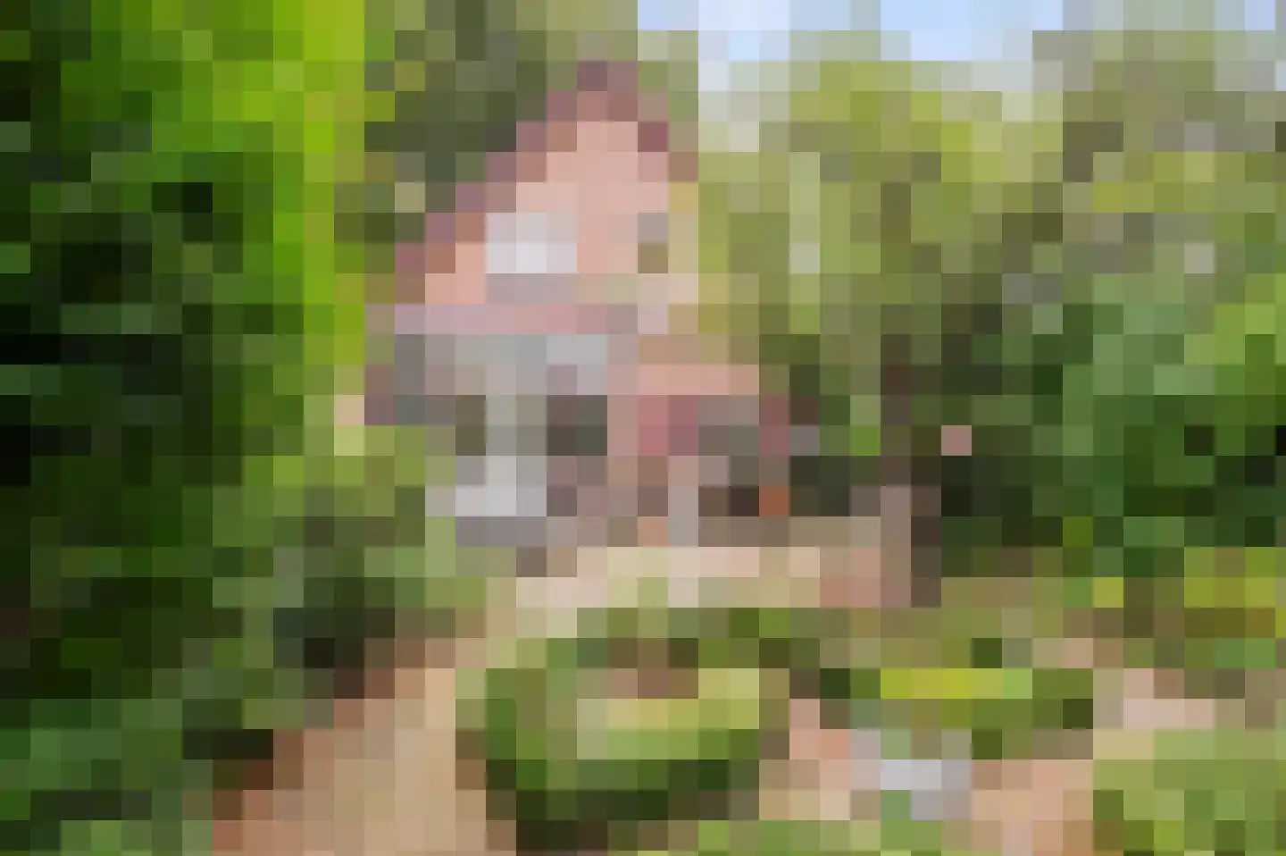 Weemeweg 3 Epe thumbnail 32