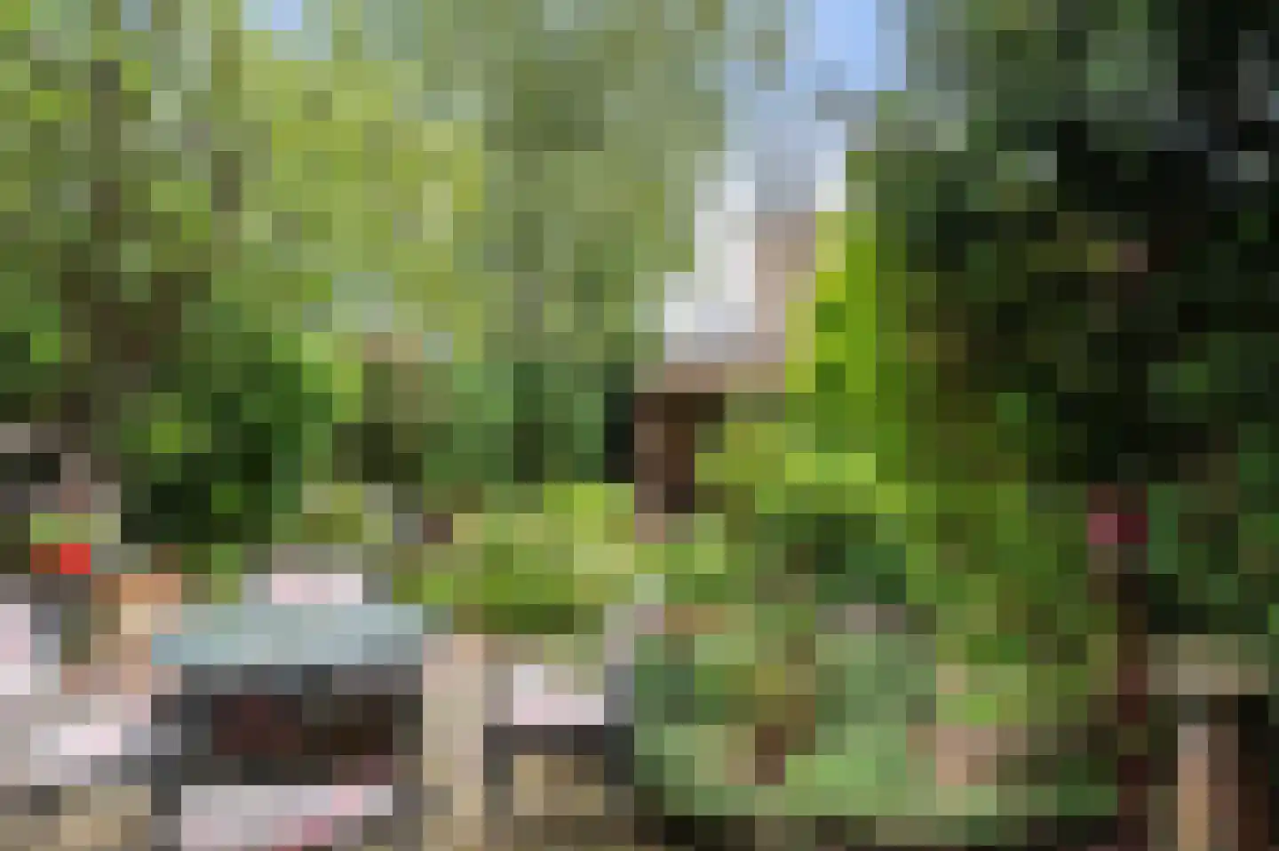 Weemeweg 3 Epe thumbnail 33