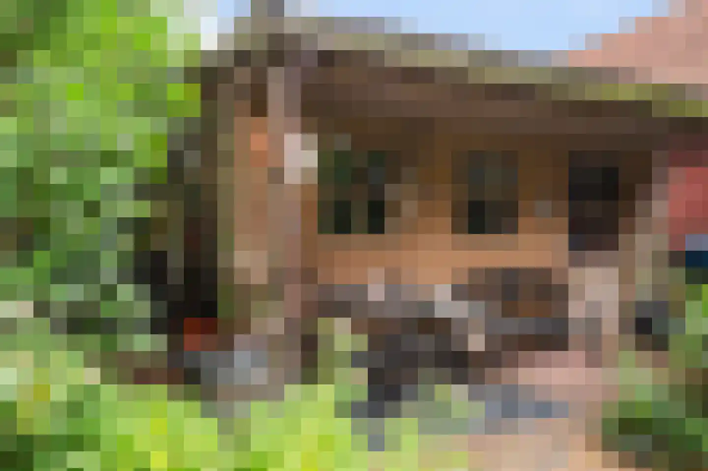 Weemeweg 3 Epe thumbnail 34