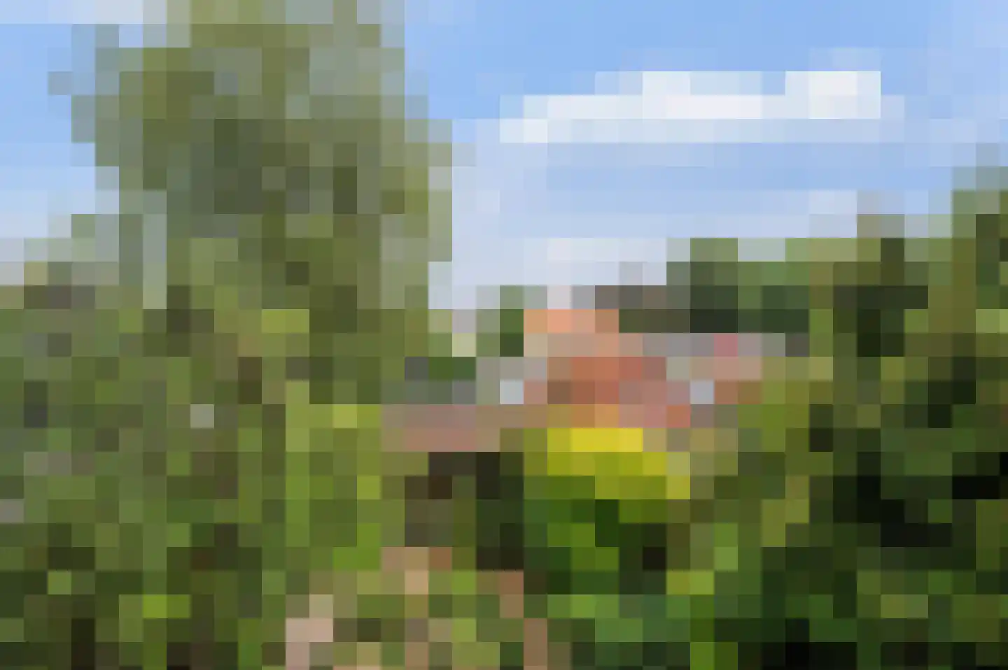 Weemeweg 3 Epe thumbnail 35