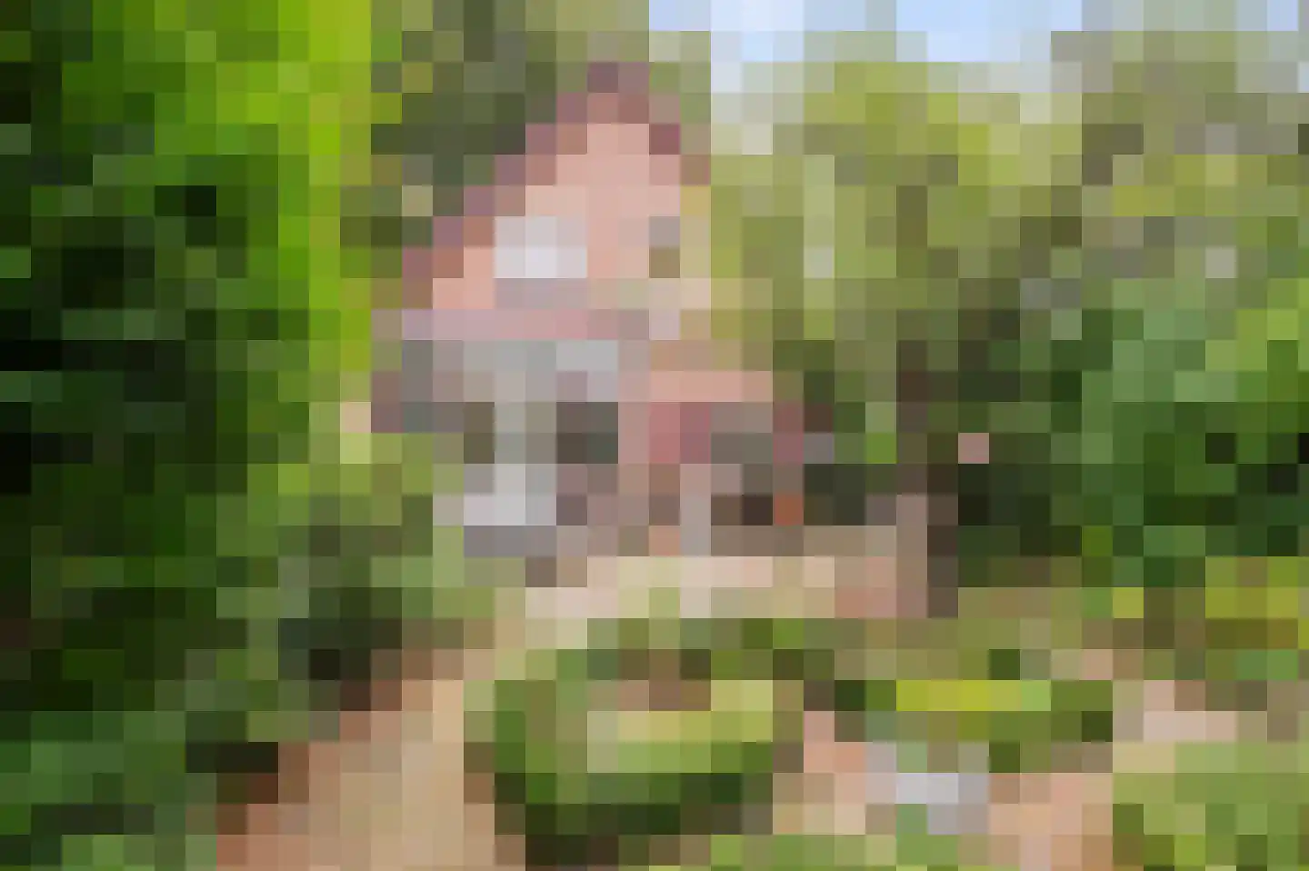 Weemeweg 3 Epe thumbnail 4