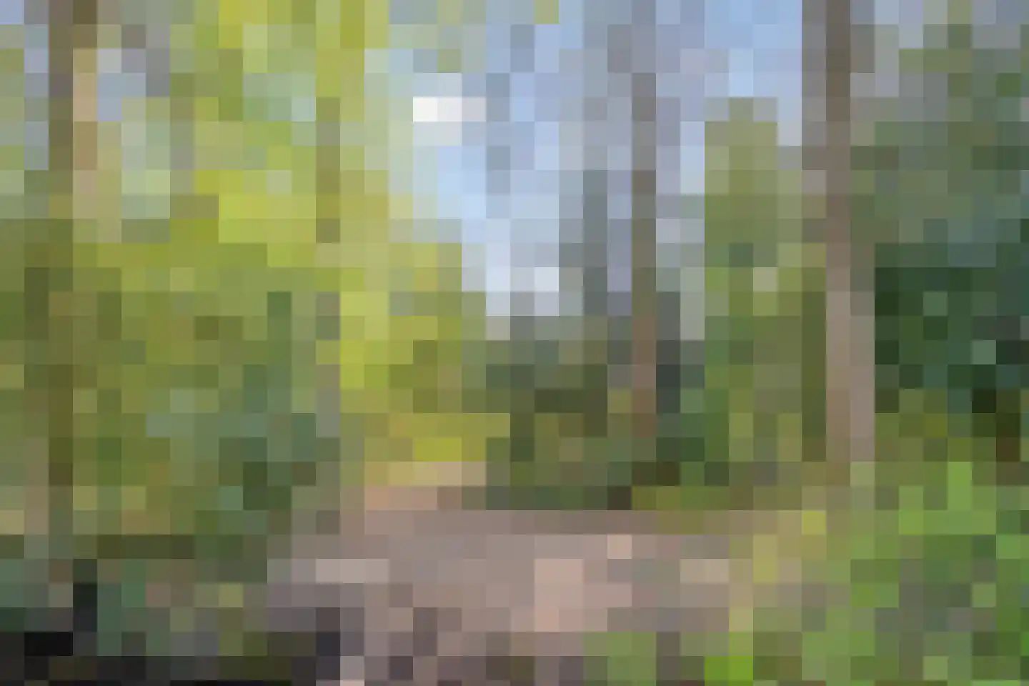 Weemeweg 31 Oosterwolde thumbnail 62