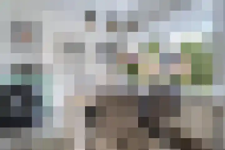 Weemeweg 41 Oosterwolde thumbnail 10