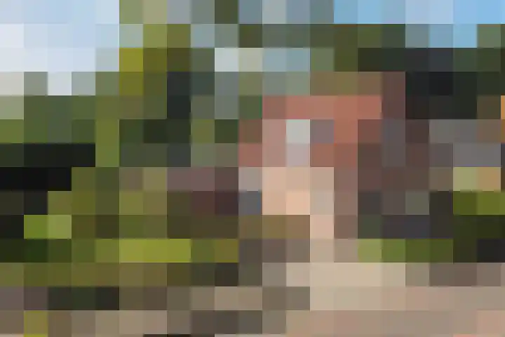 Weemeweg 41 Oosterwolde thumbnail 6