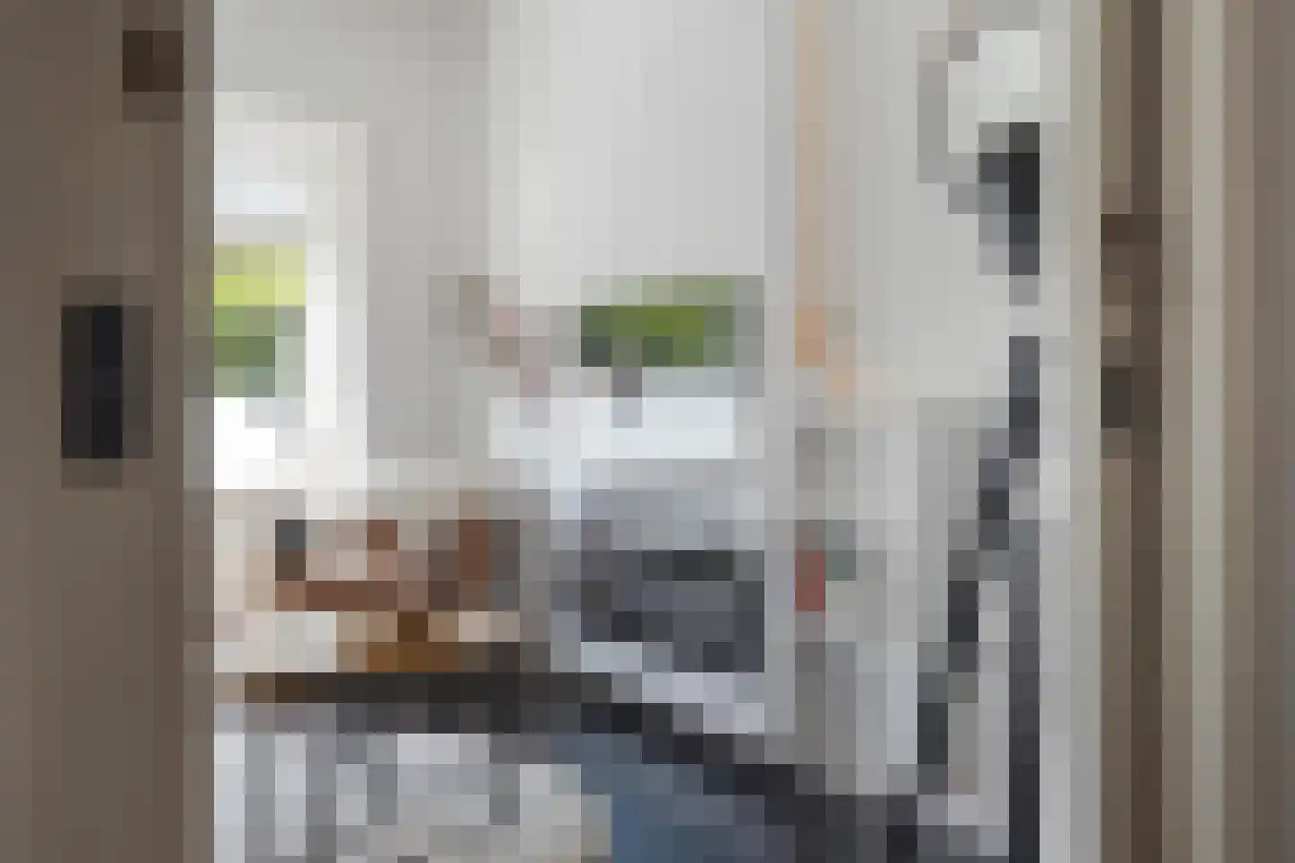 Weemeweg 6 Oosterwolde thumbnail 18