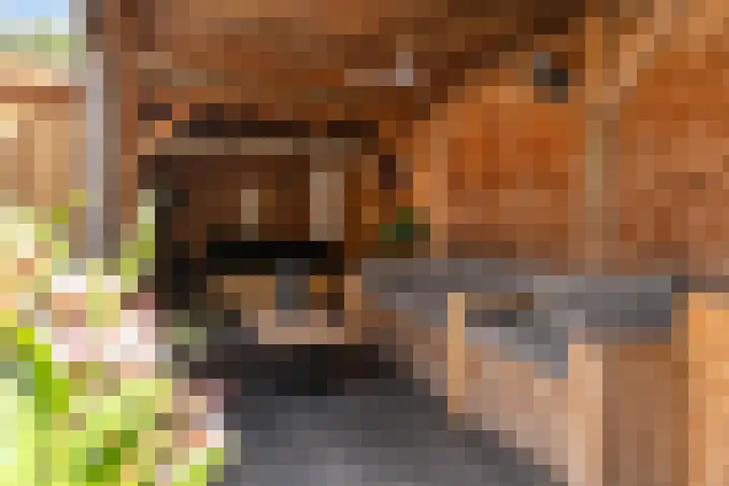 Weemeweg 6 Oosterwolde thumbnail 7