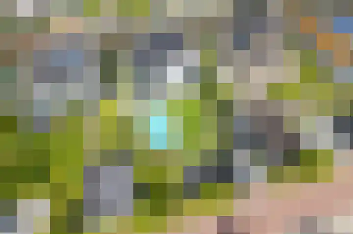 Weemhofseiland 11 Eelderwolde thumbnail 10
