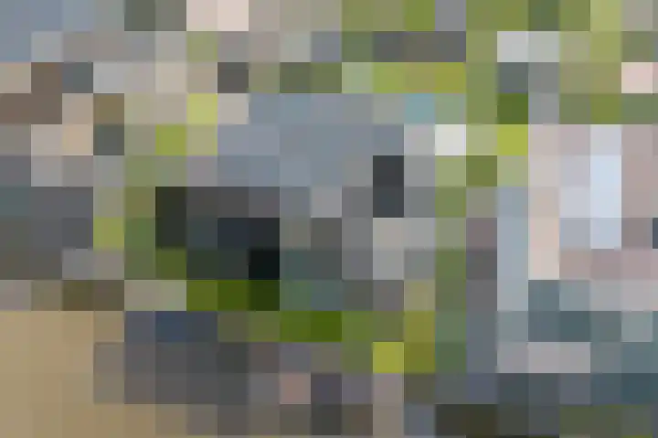 Weemhofseiland 11 Eelderwolde thumbnail 12