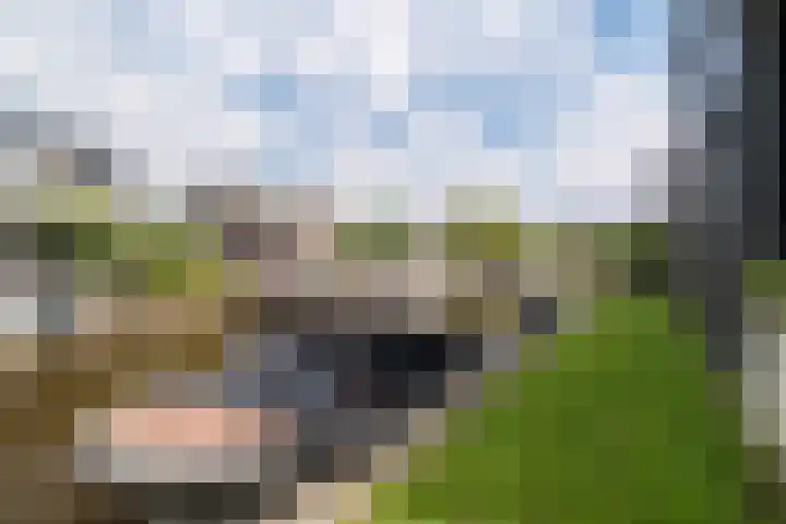 Weemhofseiland 11 Eelderwolde thumbnail 51