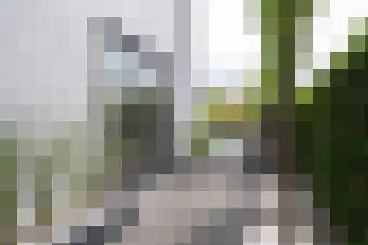 Weemhofseiland 11 Eelderwolde thumbnail 54