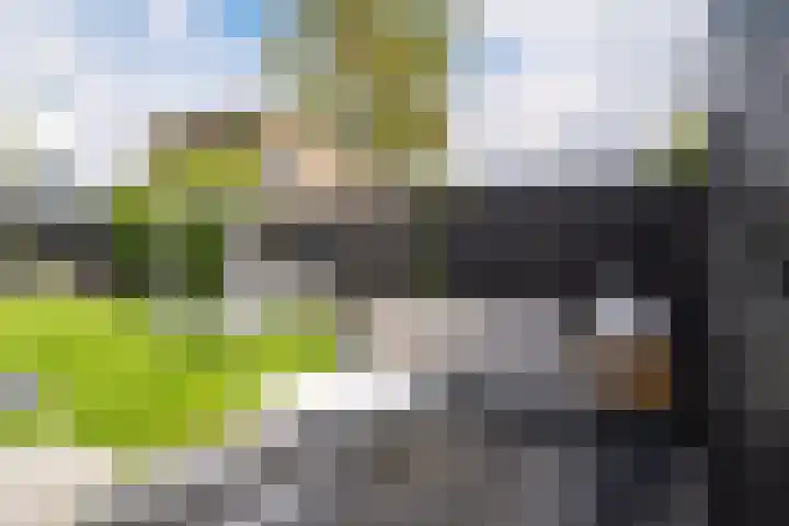 Weemhofseiland 11 Eelderwolde thumbnail 58