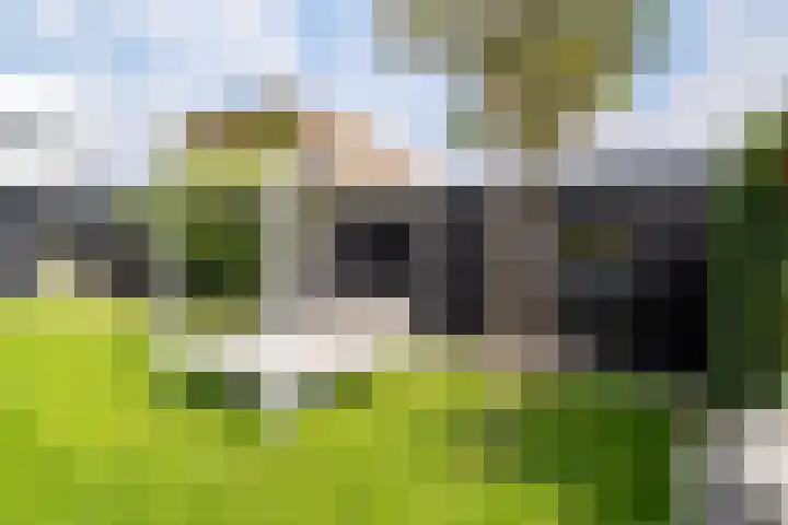 Weemhofseiland 11 Eelderwolde thumbnail 60