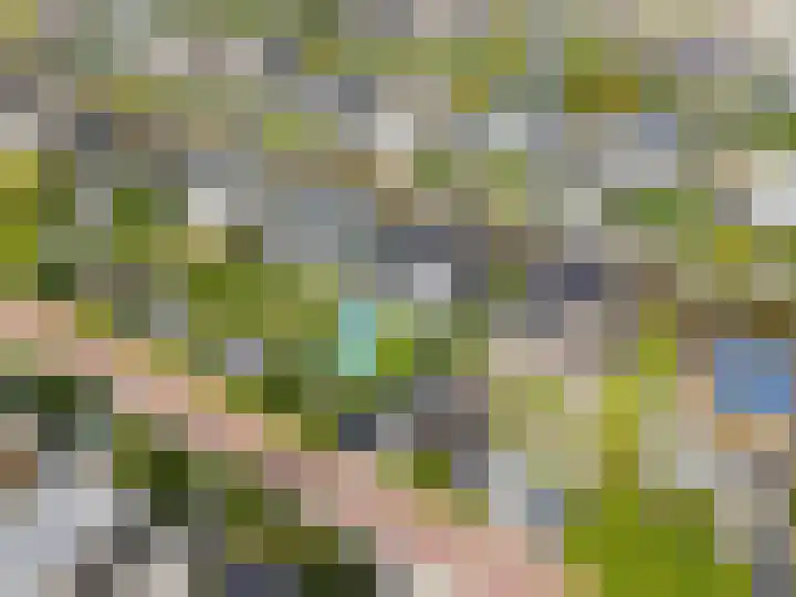Weemhofseiland 11 Eelderwolde thumbnail 61