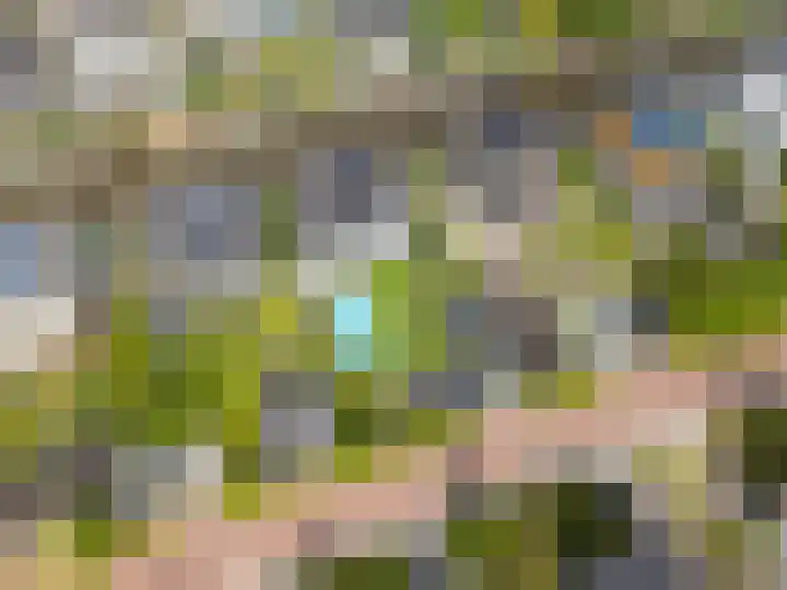 Weemhofseiland 11 Eelderwolde thumbnail 64