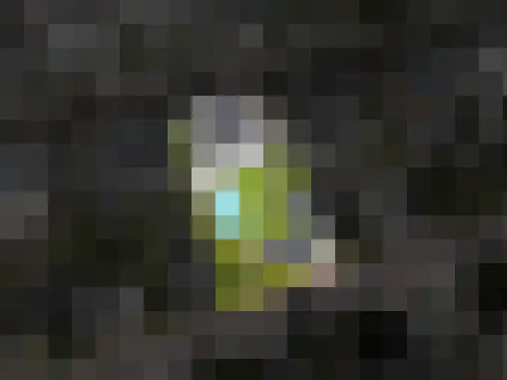 Weemhofseiland 11 Eelderwolde thumbnail 65