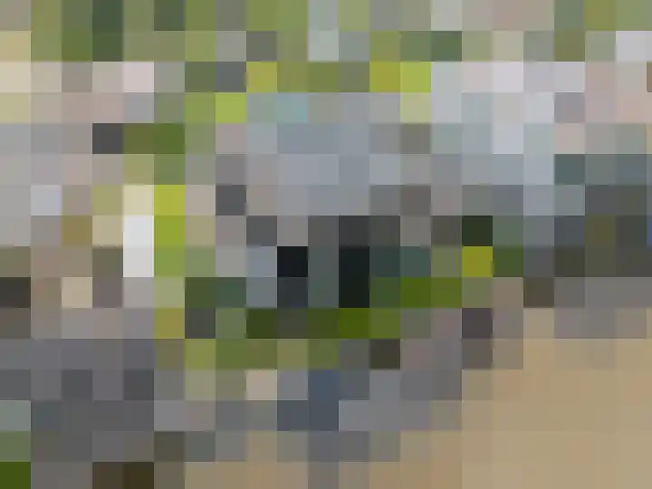 Weemhofseiland 11 Eelderwolde thumbnail 66